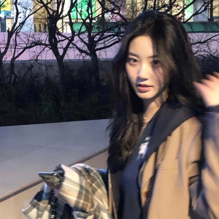 丛林有情狼